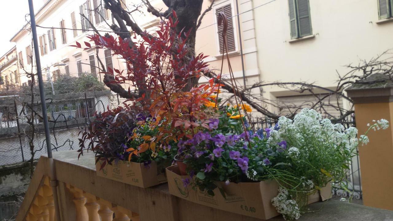 Tilia Lägenhet Bologna Exteriör bild