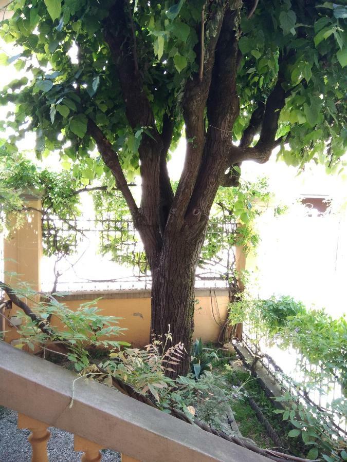 Tilia Lägenhet Bologna Exteriör bild